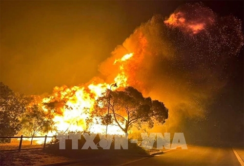 Australia: 30.000 người được yêu cầu sơ tán trước nguy cơ cháy rừng lan rộng